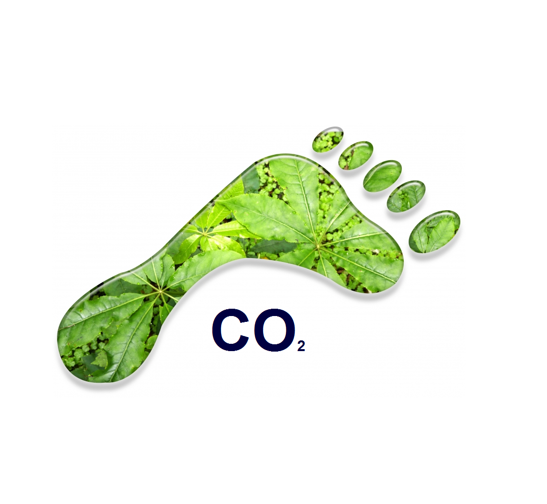https://bss.sandboxx.nl/assets/uploads/Perslucht-online_CO2-footprint-1.png